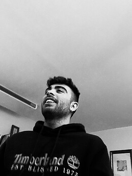 Alessandro Maisto Lagartos