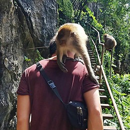 Stefan Meyer-Wehrmann