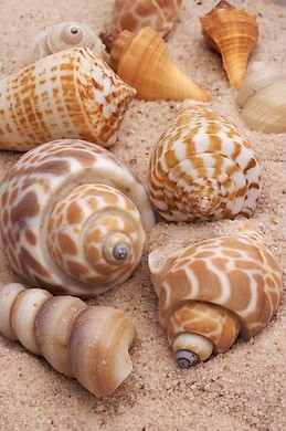 maria garcia Ezquerro