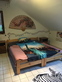 Large and sunny apartmant in Budapest, Hungary for one of twi pe