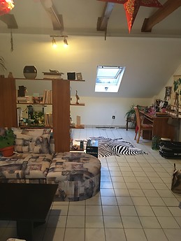 Large and sunny apartmant in Budapest, Hungary for one of twi pe