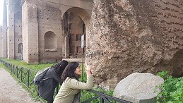 Júlia Terra M. Machado