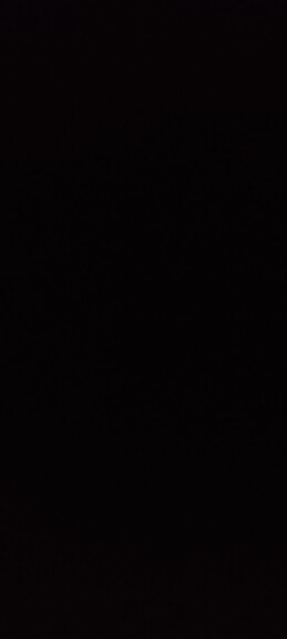 Juan José León Viedma