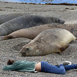 Carlota Vialcho Miranda