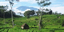 Stéphane Laurence Schmitt
