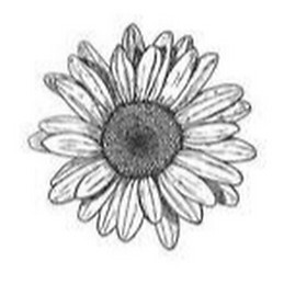 Carla Domínguez Gamo