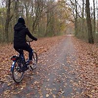 Nilvanis Esparragoza