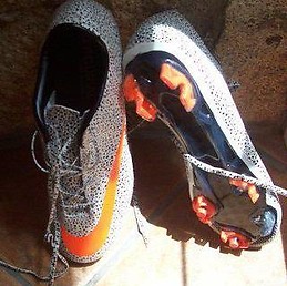 Francisco Manuel Gonzalez Lopes