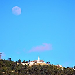 Docente LadyMateus Mateus