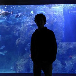 Alejandro Pagazaurtundua Millano