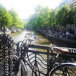 Raquel García Ferrer