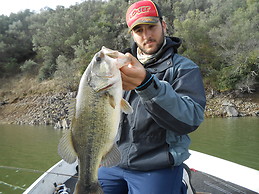 David Morales Navarro