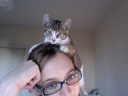 felicity  bodenstein 