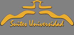 Suites Universidad