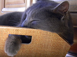 Margherita De Santis