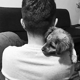 Alfonso Garcia Martinez