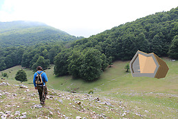 Tjaša Rus