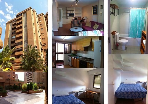 carmen Frago Monzón frago monzón