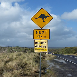Álvaro Lasarte Anadón
