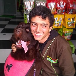 Luis David Amor Sanchez