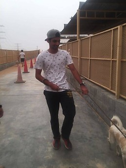Munib Sheraz