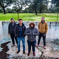 Francisco Palomar Sanchez