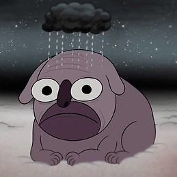 Fiorenza Cantastorie