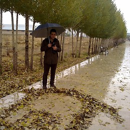 Babak Pashaei