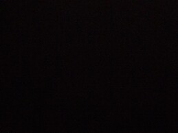 Sara Castillo Sanjuan