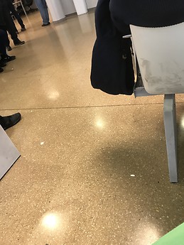 Francisco Alcaide pallares