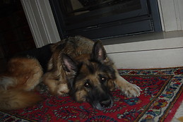 Sara =)