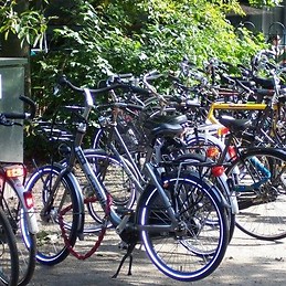 María José Tamarit Moradillo