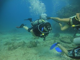 Vicente Serrano Vaquero