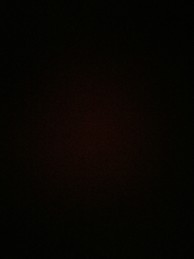 Anna  Fuentes Rivera