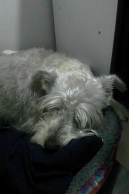 Manuel Alejandro Ordoñez Rivas