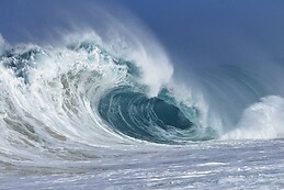 Angie Araya Lescouflair