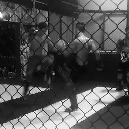 Nicolas Delgado Caballero