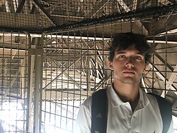 Nicolás Falcones Valbuena