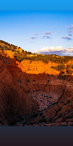 Noelia  Guillén Muñoz