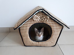 Eléonore BOURGIN CASSINI