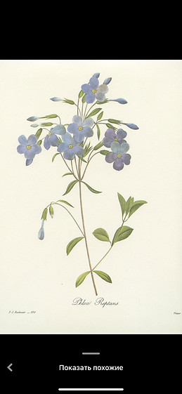 Айя Бембетова