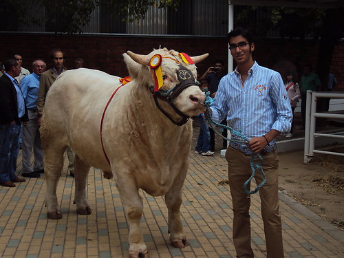 jorge manzano   sanchez