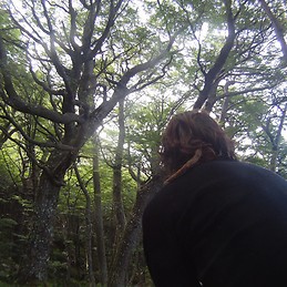 Simón Herrera Arévalo