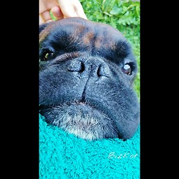 Eneko Alaba Sorabilla