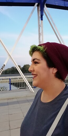 Raquel Viver Rodrigo