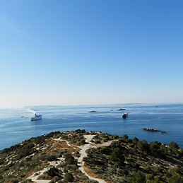 Francesca Saglinbeni