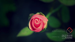 Mohamad syria