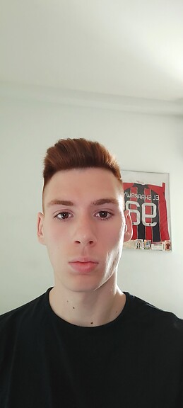 Alessandro Mantovani