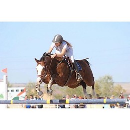 Isabel Rodríguez Miguélez