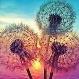 isabel maría martín peinado